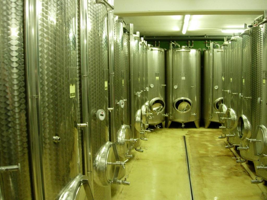 キツェック・イム・ザウザル Weingut Schlafgut Genussgut Lorenzゲストハウス エクステリア 写真